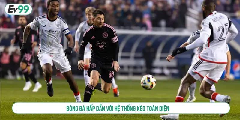Khám Phá Thể Thao SBO Sảnh Cá Cược Hàng Đầu Việt Nam