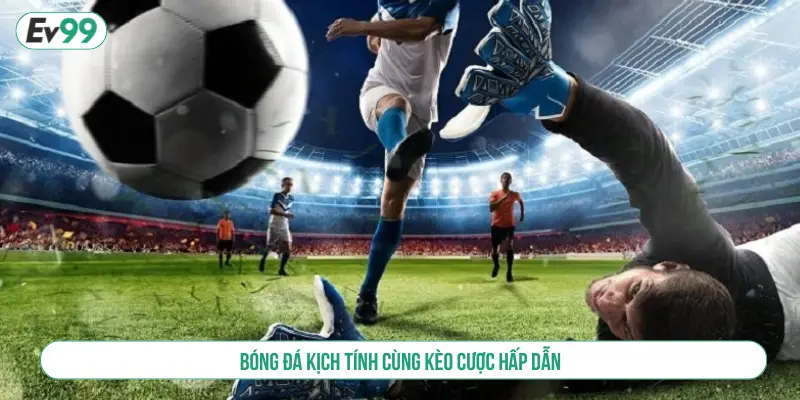 Thể Thao IM – Sảnh Cá Cược Uy Tín, Đa Dạng Môn Hấp Dẫn