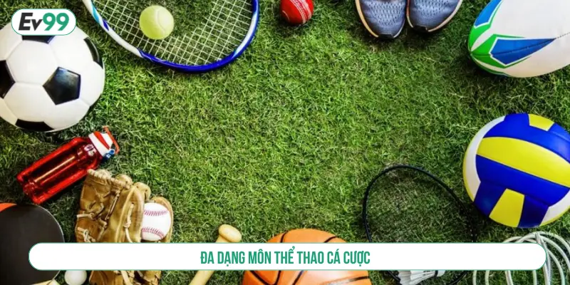 Thể Thao SABA EV99 Cá Cược Đỉnh, Trải Nghiệm Khác Biệt