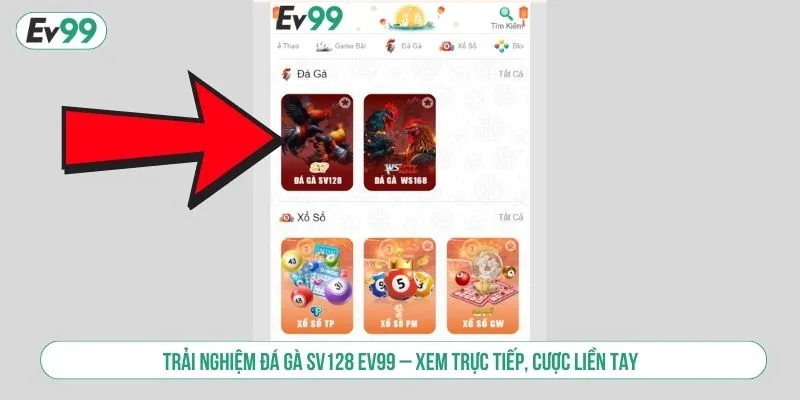 Trải Nghiệm Đá Gà SV128 Xem Trực Tiếp, Cược Liền Tay