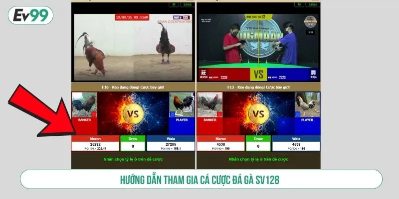 Trải Nghiệm Đá Gà SV128 Xem Trực Tiếp, Cược Liền Tay