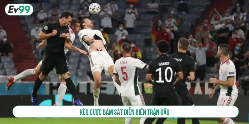 Thể Thao PM EV99 Điểm Cá Cược An Toàn Và Minh Bạch