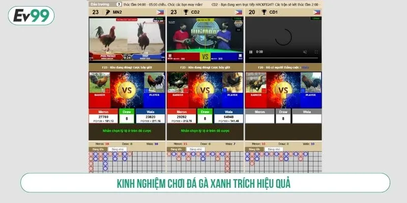Trải Nghiệm Đá Gà Xanh Trích Tại EV99 Cược Online Uy Tín