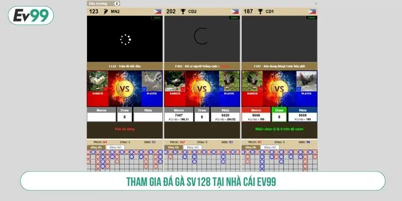 Trải Nghiệm Đá Gà SV128 Xem Trực Tiếp, Cược Liền Tay