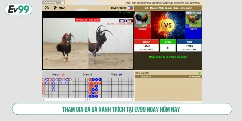 Trải Nghiệm Đá Gà Xanh Trích Tại EV99 Cược Online Uy Tín