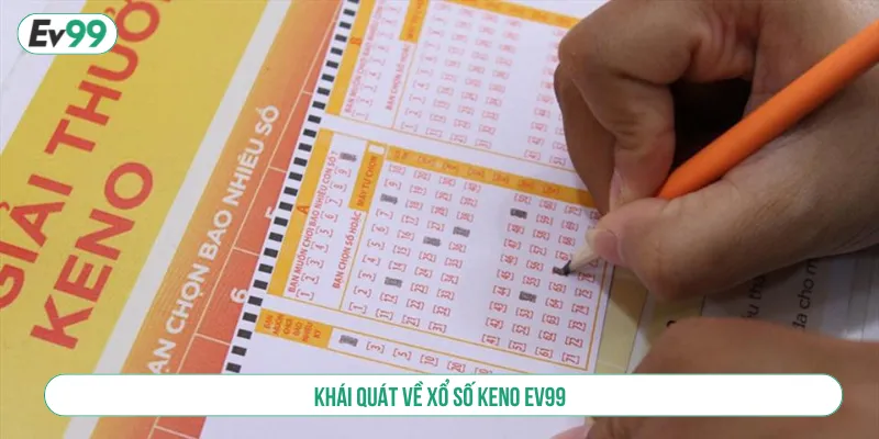 Khám Phá Xổ Số Keno Với Thể Loại Được Săn Đón Nhất
