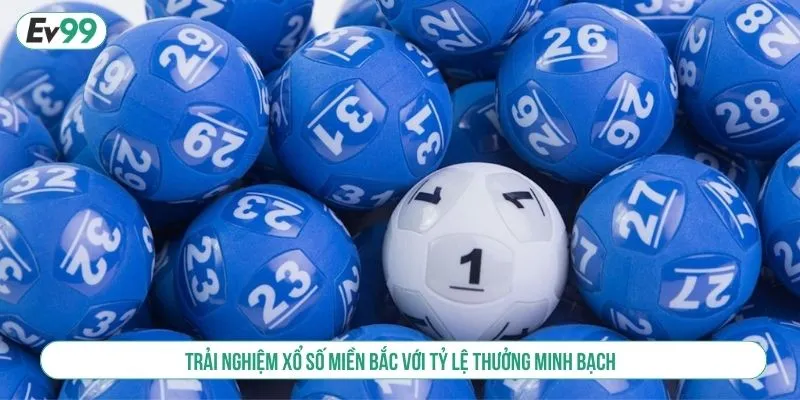 Trải Nghiệm Xổ Số Miền Bắc Với Tỷ Lệ Thưởng Minh Bạch